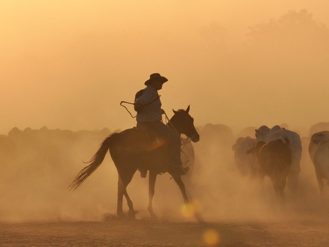 Farmer riding horse at dusk