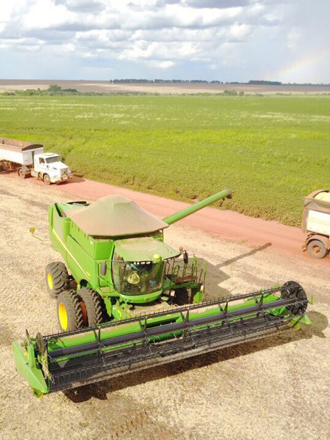 Harvester working crop and filling up trucks for transporting crop yeilds 